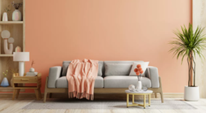 Distemper vs. Emulsion: How to Balance Tradition and Modernity in Your Home