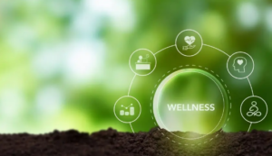Developing Better Money Habits for Lasting Financial Well-Being