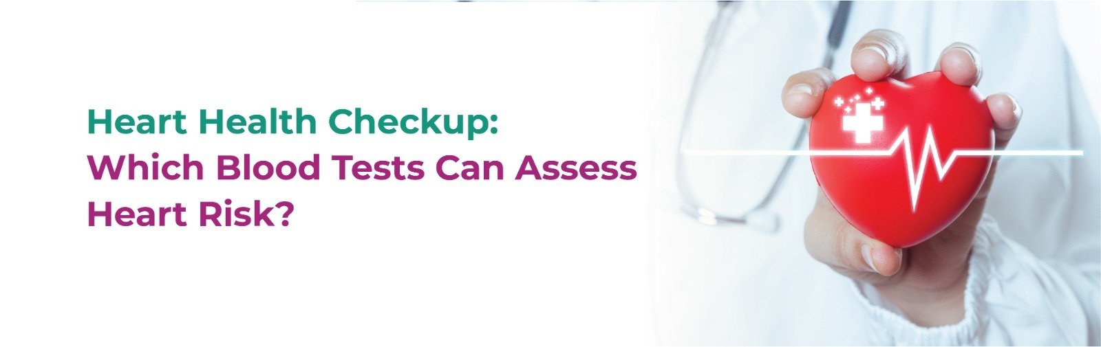 Heart Health Checkup: Which Blood Tests Can Assess Heart Risk?